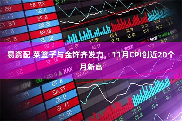 易资配 菜篮子与金饰齐发力,11月CPI创近20个月新高